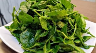 Món canh từ lá ít người biết: Giàu canxi không thua cải bó xôi hay cải xoăn, tốt cho xương khớp