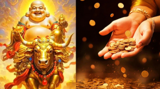 3 con giáp không chịu nghèo khó, Bất Chấp Làm Giàu, vượt muôn thử thách, càng già càng vang danh