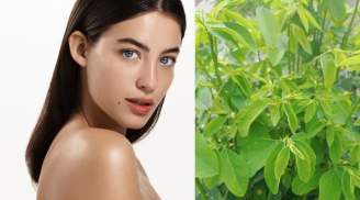 Loại rau chỉ vài nghìn một bó là thần dược làm đẹp ít ai biết