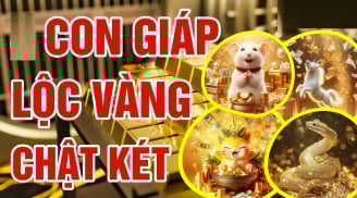 Từ 7/10 đến 20/10, 3 tuổi Phúc Sâu - Lộc Dày tiền tiêu không hết, 1 tuổi thị phi