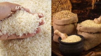 Vì sao người xưa khuyên đựng gạo trong thùng gốm vừa tốt sức khỏe vừa giữ phong thủy giàu có?