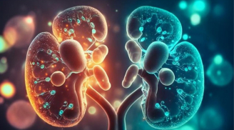 4 Dấu hiệu ban đêm cảnh báo bệnh thận nhiều người hay bỏ qua