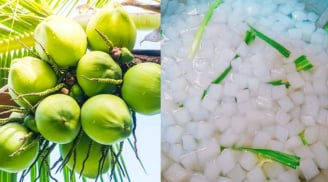 Hướng dẫn cách làm thạch dừa thơm ngon và đơn giản tại nhà