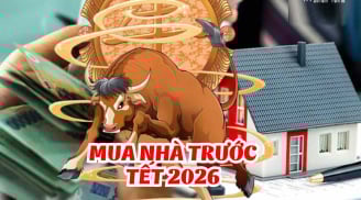 Lửa Thử Vàng: 3 tuổi vượt gian nan, Vươn Mình đón phú Quý sau 100 ngày