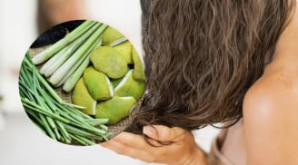 Mẹo dùng lá sả chăm sóc tóc làm sạch da đầu và giảm gàu nhanh chóng