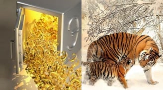 15 ngày (từ 15-30/10) vận đỏ phủ kín: 3 con giáp càng làm càng giàu, tiền đẻ ra tiền, Tết tiêu không hết