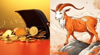 85 ngày cuối cùng năm 2025: 3 con giáp công danh lên hương, tiền bạc theo sau, giàu bất ngờ không kịp trở tay