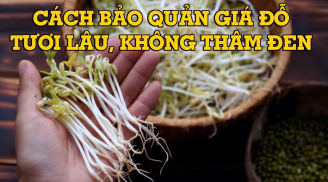 Cách bảo quản giá đồ để cả tuần vẫn mũm mĩm, không sợ thâm đen
