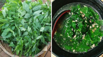 Tài sao bạn nên vò rau ngót trước khi nấu?