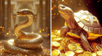 Top 3 tuổi Nằm Gai Nếm Mật qua rồi, cuối 2025 Trúng Lớn, mua Vàng không cần nhìn giá