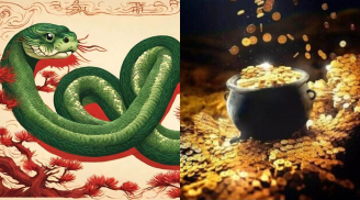 3 con giáp có hậu vận viên mãn: Trẻ vất vả trăm bề, về già sung túc đủ đầy, con cháu hiếu thuận