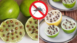 Cắm thứ này vào quả chanh, muỗi cả đàn rủ nhau bay đi hết