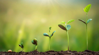 Chẳng cần hợp tuổi hợp mệnh, 5 yếu tố này giúp một người luôn được quý mến, càng già càng hạnh phúc, giàu có