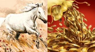 Đúng 0h thứ Bảy (11/10): 4 con giáp mở cửa tiền tràn vào nhà, Chủ Nhật lộc lá đầy tay, cả tháng giàu sụ