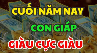 Top 3 con giáp Phúc Lành Nhân Đôi theo tuổi tác, càng về cuối năm càng kiếm Đậm