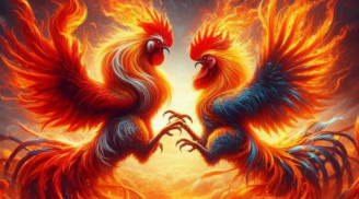 Trúng Giải Đặc Biệt 300 tỷ đúng 0h đêm nay: 3 tuổi Gánh Vàng Gánh Bạc, Tiền quấn lấy thân