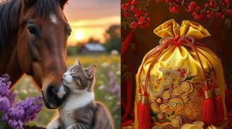 Tuần 13-19/10: 3 tuổi Hân hoan suốt tuần, Thần Tài Quý Nhân kể bên, 1 tuổi đầu tuần vấp váp cuối tuần thắng lớn