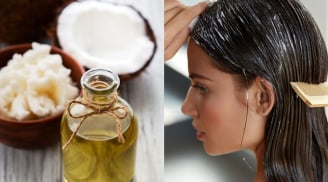 2 loại dầu là  cứu tinh cho tóc gãy rụng và chẻ ngọn