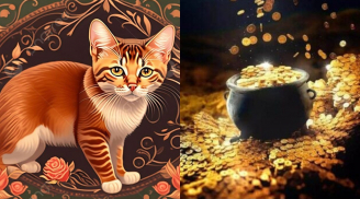 Tháng 11 và 12 giàu bất ngờ không kịp trở tay: 3 con giáp được Thần Tài ưu ái, tiền-tình-lộc ào ào đổ về