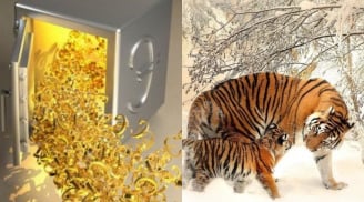 Tích tụ 3 năm: 3 con giáp này sẽ giàu sụ trong 90 ngày tới, tiền đẻ ra tiền, phúc lộc đủ đầy