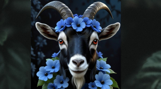 Có phúc ắt có phần: 3 tuổi hay giúp người, khó khăn vẫn giữ lòng tốt,Trời xanh ghi danh bảng vàng