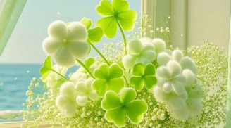 3 “chậm” giúp bạn trở nên sáng suốt, quyết định đúng đắn, may mắn phủ đầy,chớ vội vàng trong 3 điều này