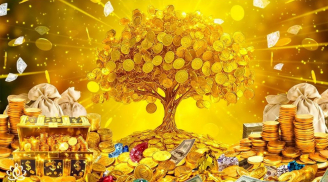 Vận khí lên cao, tài năng phát lộ: 3 con giáp tuổi trẻ chật vật, sau tuổi 35 như diều gặp gió