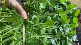 Việt Nam sở hữu loại rau chống bệnh K tốt nhất thế giới, chợ bán 10 nghìn/bó