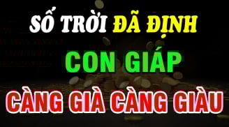 Top 3 con giáp Trẻ Khổ Già Giàu, số trời định  sẵn không cãi được