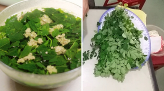 Loại rau chứa canxi gấp 4 lần sữa, vitamin C gấp 7 lần cam: Việt Nam có đầy, nhiều người không biết mà ăn