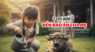 3 con giáp này, nếu là con bạn, chúng đến để Báo Ân, phúc vượng lộc to