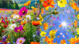 4 thứ trong đời ai có càng ít thì ngày sau càng hạnh phúc, giàu sang