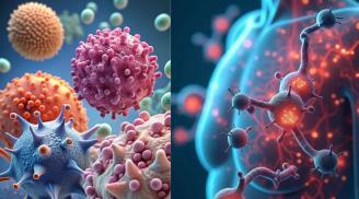 Nghiên cứu mới tìm ra cách điều trị K giai đoạn cuối mở ra hy vọng cho nhiều người