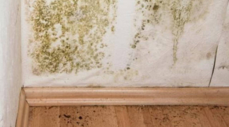 Nhà có 6 dấu hiệu âm khí nặng: Làm ăn mãi không khá, con cái lận đận, phải hóa giải ngay kẻo muộn