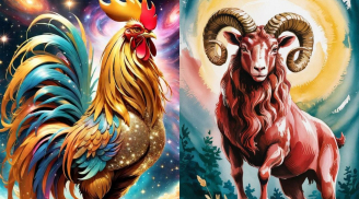 Tuần mới 20–26/10: 3 tuổi đứng đầu về tài lộc, 1 tuổi tình cảm thăng hoa nhưng tài chính chững lại