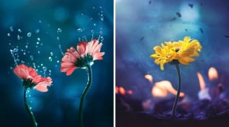 3 Tháng sinh Âm lịch vượng mệnh: Trời ban phúc khí, phúc lộc theo cả đời