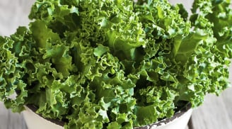 4 loại rau bổ dưỡng giàu canxi tốt cho xương khớp của bạn