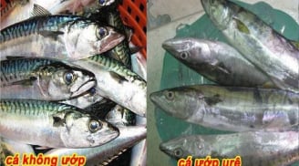 5 dấu hiệu cá ướp ure, cho không cũng đừng đem về