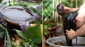 4 loại nước gội đầu chống rụng, giúp tóc đen bóng, tóc con mọc lên không ngừng