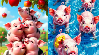 3 tuổi năm 2026 cung Nô Bộc rực rỡ: Đi làm gặp đồng nghiệp tốt, bạn đồng hành giỏi, phất lên gấp bội