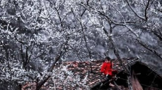 Mùa đông có lạnh hay không phụ thuộc vào ngày đầu tháng 9 âm lịch - Vì sao lại như vậy?