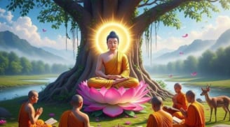 Đức Phật dạy: 4 hạng người sống khổ, ít phước – ai đang âm thầm rơi vào mà không biết?