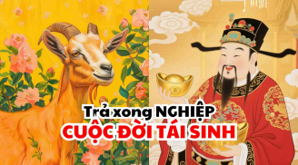 Gieo Nhân Gặt Quả: 2 tuổi Tiền Tài Danh hưởng cả, 2 tuổi vất vả xa quê