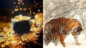 0h Thứ Bảy (25/10): 3 con giáp sau 1 đêm thấy ví nặng trĩu, Chủ Nhật thành ông hoàng thịnh vượng