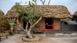 5 dấu hiệu ngôi nhà 'cạn khí', con cháu khốn đốn trăm bề