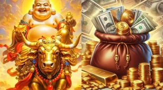 4 Con Vật Vào Nhà Là Thần Tài Tới, Gia Đình Sắp Giàu To, Lộc Trời Ban đừng vô tình để lỡ
