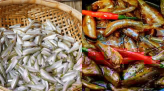 Cá lòng tong, món nhà nghèo một thời, nay thành đặc sản “đắt đỏ” hiếm có ở miền Tây