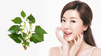 Món rau dân dã nhưng lại có khả năng bảo vệ da tự nhiên đáng kinh ngạc