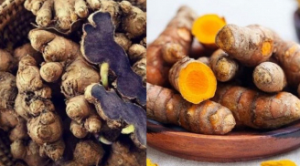 Nghệ đen và nghệ vàng loại nào tốt hơn?