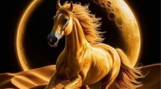 Tháng 11-12 dương lịch: Thời cơ tới với 3 tuổi này, nhanh chân thắng lớn như trúng số, để lỡ tiếc vô vàn